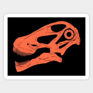 Argentinosaurus fossil skull Magnet